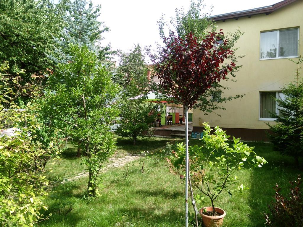 Pensiunea Paloma 3 Stele Brașov Exterior foto