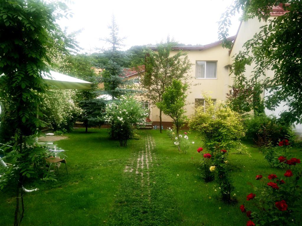 Pensiunea Paloma 3 Stele Brașov Exterior foto