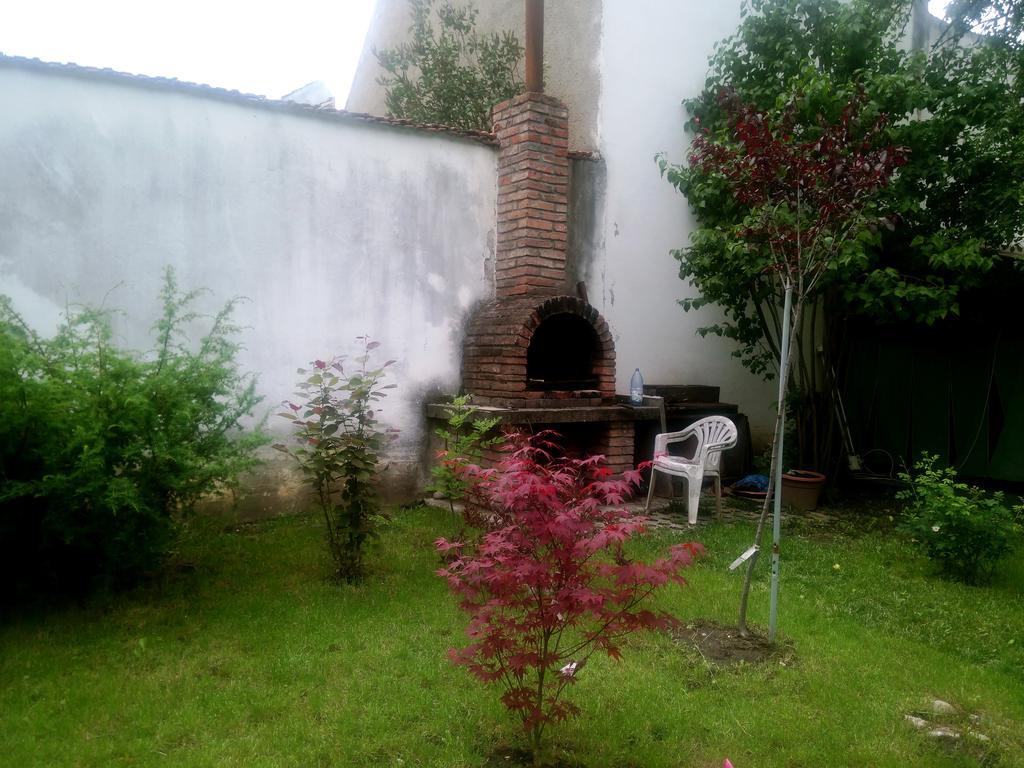 Pensiunea Paloma 3 Stele Brașov Exterior foto